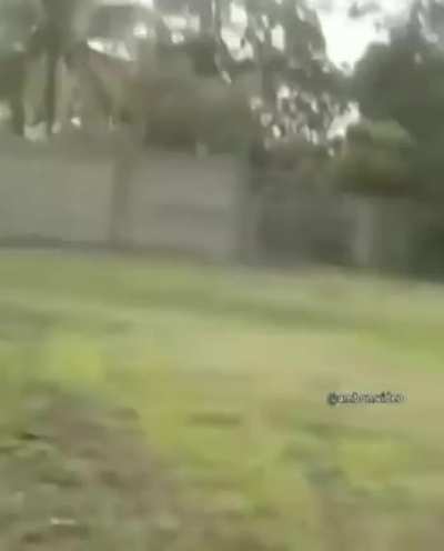 MAAU - Video #3970