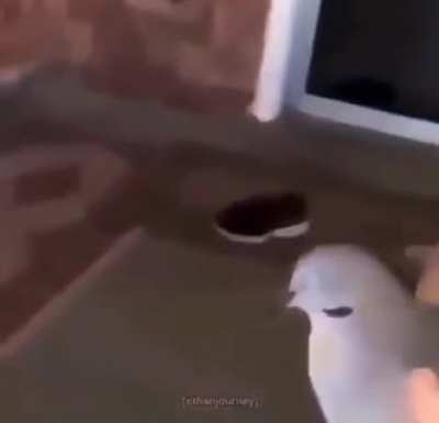OK then