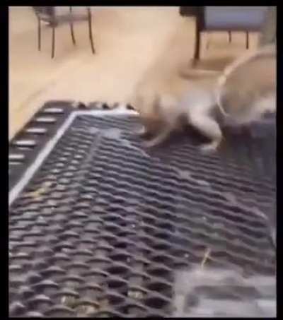 &lsquo;