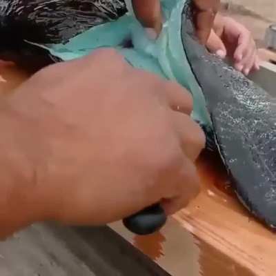20% of Lingcods have Turquoise Flesh