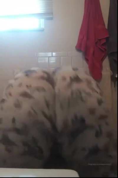 Thick bbw booty