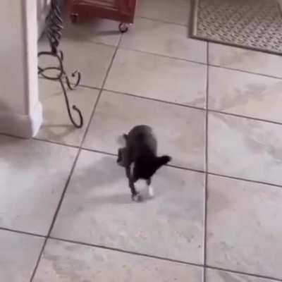 Bless you!
