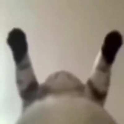 lamamadelamamadelamamadelamamadelamamadelamamadelamama