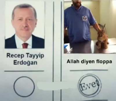 Alllllah