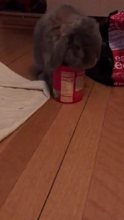 “Let me just pour out one serving!” (Mommy stopped me from eating more than two because she doesn’t want me to live my best bunny life)