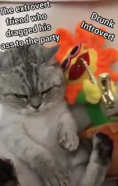 me_irl