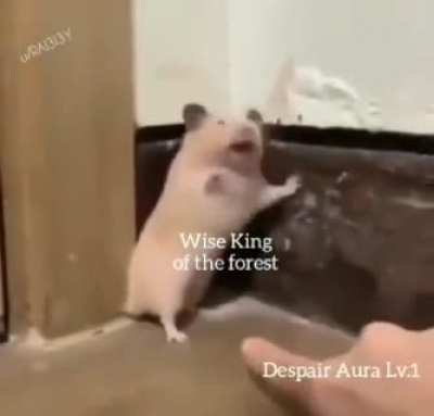 Gozaru na