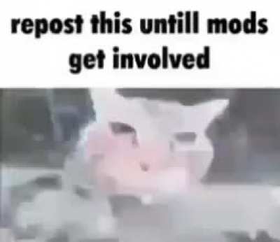 moldy repost