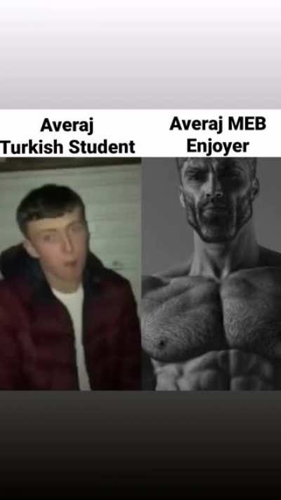 Averaj Ziya Seljuk Enjoyer