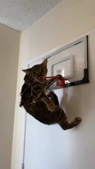 if ( target.detected() ){ self.jump(target) }
