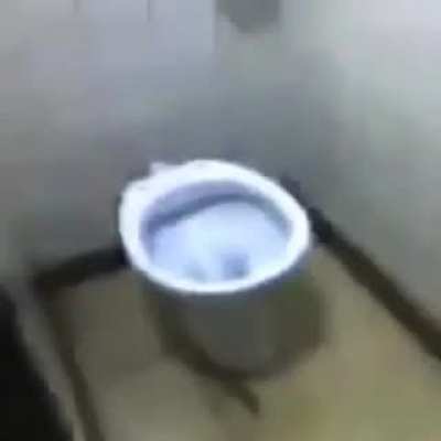 toilet