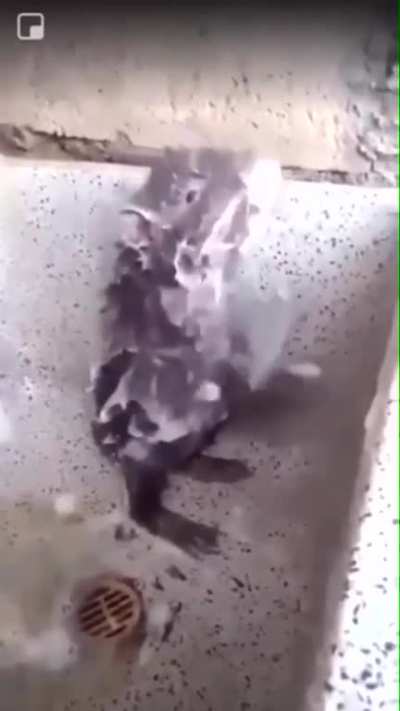 hmmm