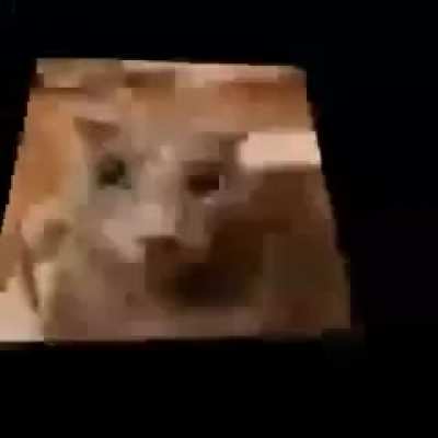 he gone