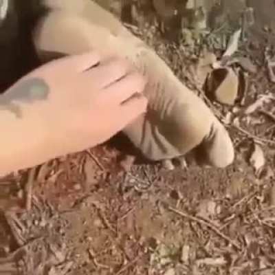 tickle tickle