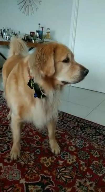 "Hey, what is it?"