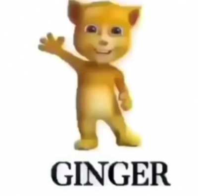 Ginger