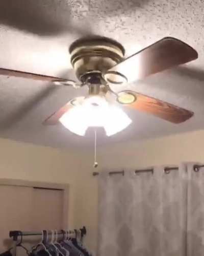 On today’s episode of how fucked up is fucked up lmao