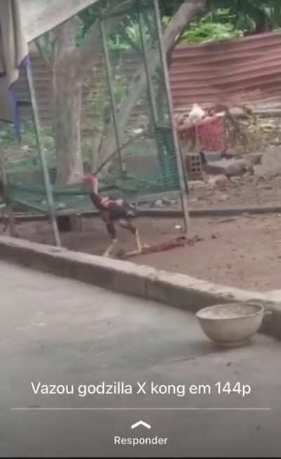 At&eacute; que d&aacute; pra assistir em 144p