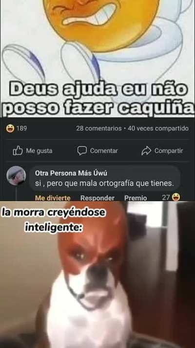 Xd