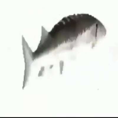S&oacute; Mais um v&iacute;deo merda e sem sentido foda se