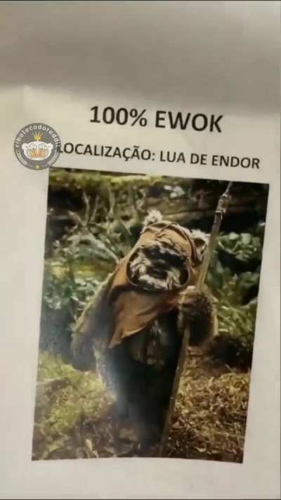 🥰🥰🥰
