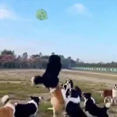 Balloon fun.. &eth;