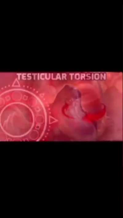 moldy torsion
