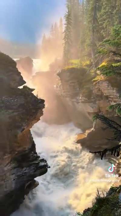 Wooded Falls