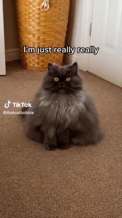 How dare you call me fat