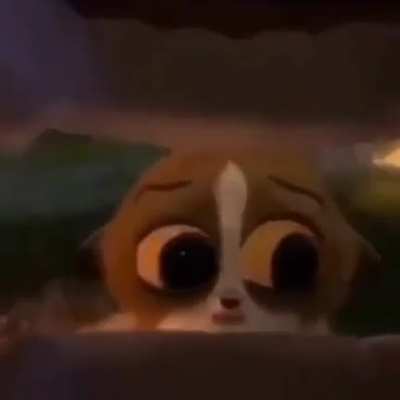 XD