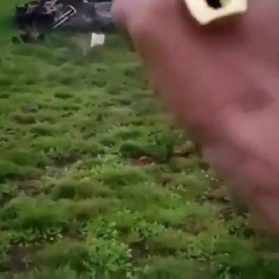 A Desert Eagle's 