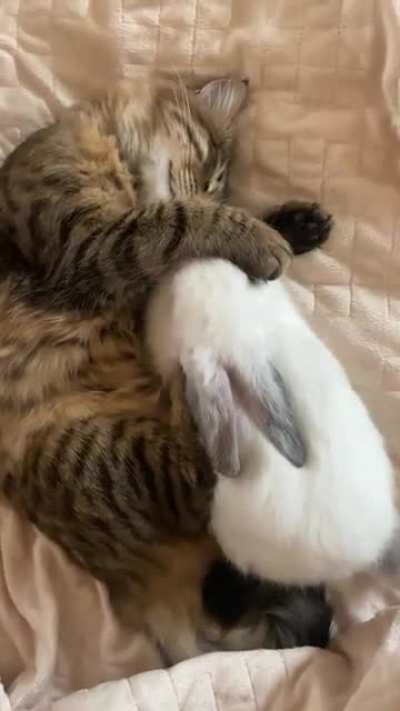 Somebody wake up late