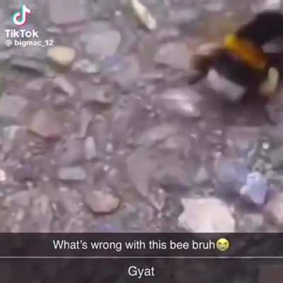 GYA-