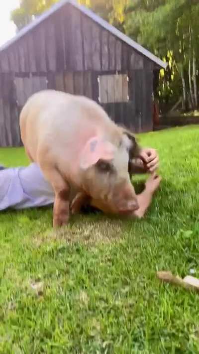 Ok human, I will cuddle with you