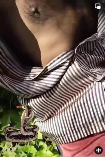 Cobra inside man&rsquo;s shirt