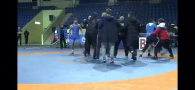 Wrestling turns into slugfest between two Belgian Blues