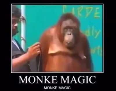 Monke magic🗿