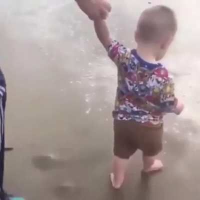 Bubba&rsquo;s First Beach Trip
