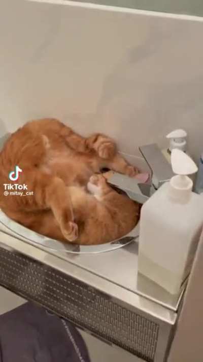 Do not disturb