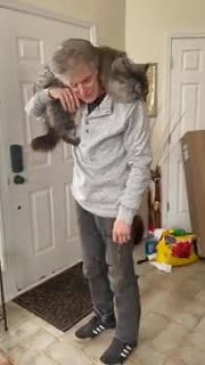 Won&rsquo;t carry a cat if it&rsquo;s not Arch-based, btw