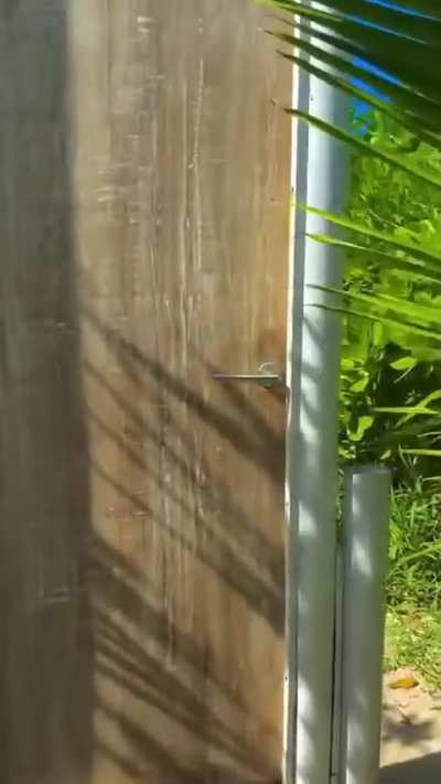 Door to Paradise
