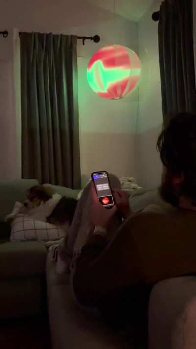 couldn&rsquo;t find a dog sitter, so i made the eye of sauron