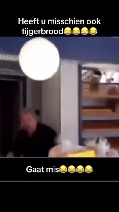 Tijger 