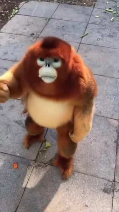 Un a&ntilde;o en Reddit y r/MAAU, un saludo licenciados y gracias por las risas, espero todos se encuentren bien 🥳