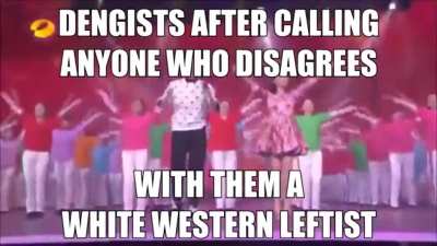 pfff you white western &uml;leftists&uml; wouldn&acute;t understand smh