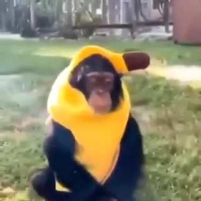 mamaco bamama 😱😱😱😤😤😤🤯🤯🤯💯💯