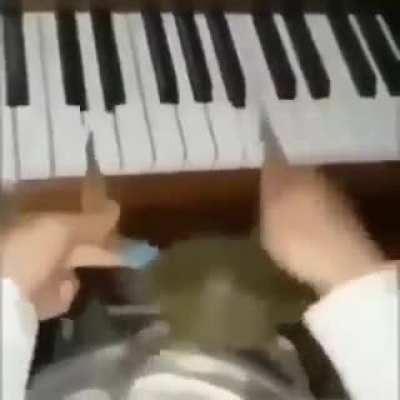 &iexcl;Ritmo!