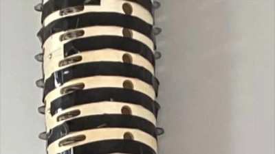 Im not giving up yet because I know Tape Gang can win. (This PP tower is 347 cm or over 11 ft tall)