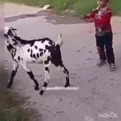 He deserved it.