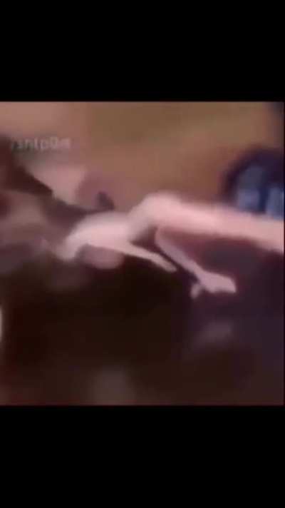 ese es el admin